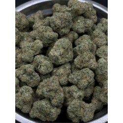 Lemon Cherry Martini Exotica | ไฮบริดซาติว่า THC 29%