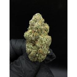 Sweedz Flowers Exotica Orange OG