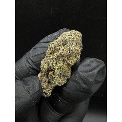 Permanent Marker Exotica | ไฮบริด THC 28% กรุงเทพฯ