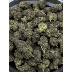 Permanent Marker Exotica | ไฮบริด THC 28% กรุงเทพฯ