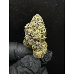 Sweedz Flowers Exotica Permanent Marker