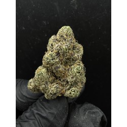 Sweedz Flowers Exotica Blue Runtz