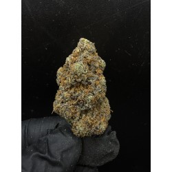 Sweedz Flowers Exotica Dracula