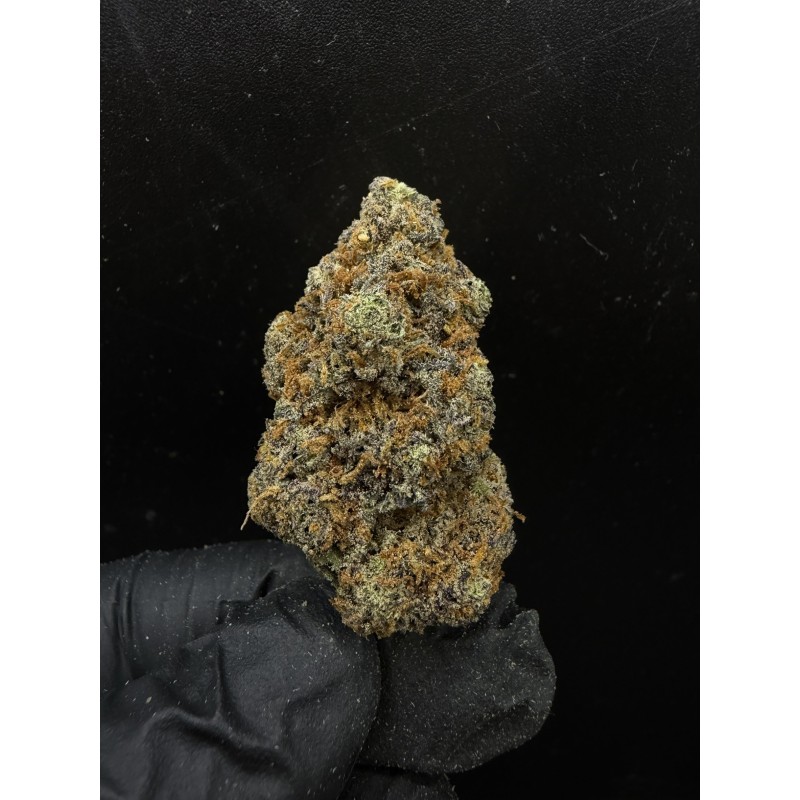 Sweedz Flowers Exotica Dracula