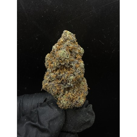 Sweedz Flowers Exotica Dracula