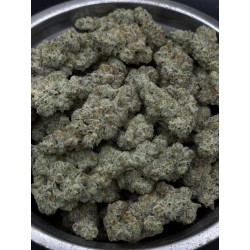 Lemon Banana Mints Exotica | ดอกกัญชาอินดิก้า 30% THC กลิ่นกล้วยและครีม
