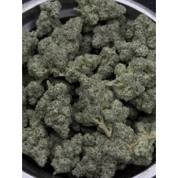 Miso Exotica | ดอกกัญชาไฮบริด 31% THC กลิ่นมะนาวและสมุนไพร
