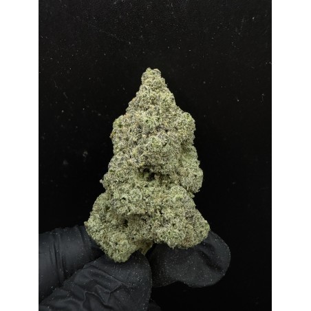 Sweedz Flowers Exotica Miso