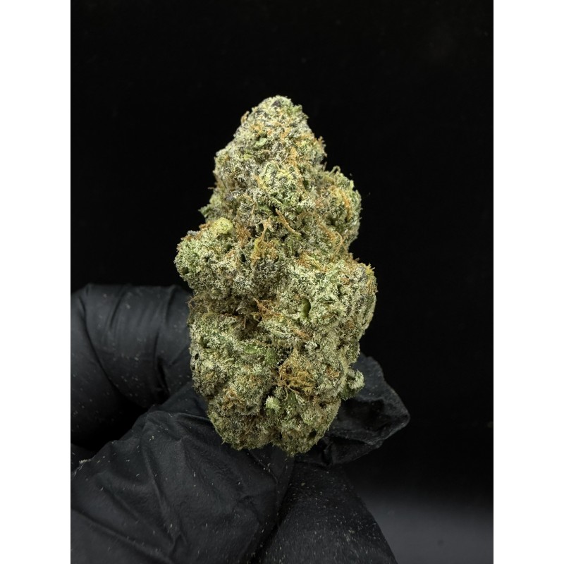 Sweedz Flowers Exotica Orange OG