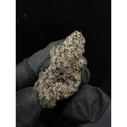 Subzero Cherry Bomb Exotica | ดอกกัญชาไฮบริด 30% THC กลิ่นเชอร์รี่