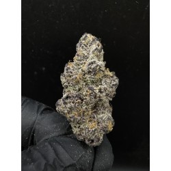 Sweedz Flowers Exotica Subzero Cherry Bomb