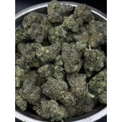 Cherry Punch Top Shelf | ดอกกัญชาไฮบริด 24% THC กลิ่นเชอร์รี่และสกั๊งค์