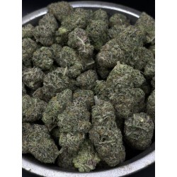 Honey Cream Top Shelf | ดอกกัญชาอินดิก้า 22% THC กลิ่นครีมและน้ำผึ้ง