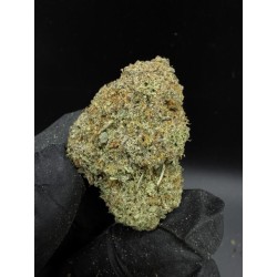 King’s Tart Top Shelf | ดอกกัญชาอินดิก้า 22% THC กลิ่นครีมและมิ้นท์