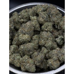 MAC V2 Top Shelf | ดอกกัญชาไฮบริด 24% THC กลิ่นดีเซลและส้ม
