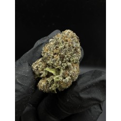 Runtz x Layer Cake Top Shelf | ดอกกัญชาไฮบริด 23% THC กลิ่นครีมและดอกไม้