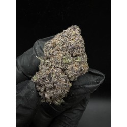 Tropicana Cherry Top Shelf | ดอกกัญชาซาติวา 22% THC กลิ่นส้มแมนดาริน