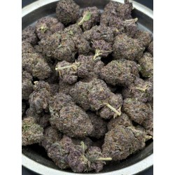 Tropicana Cherry Top Shelf | ดอกกัญชาซาติวา 22% THC กลิ่นส้มแมนดาริน