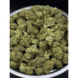 Candyland Mid Grade | ดอกกัญชาซาติวา Green House กลิ่นขนมหวาน