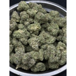 Pineapple Bang Exotica | ดอกกัญชาซาติวา 27% THC กลิ่นสับปะรดเขตร้อน