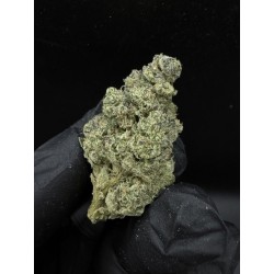 Apple & Banana Exotica | ดอกกัญชาไฮบริด 28% THC กลิ่นแอปเปิ้ลและกล้วย