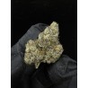 Blueberry Pave Runtz Exotica | ดอกกัญชาอินดิก้า 30% THC กลิ่นเบอร์รี่และครีม