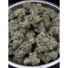 Blueberry Pave Runtz Exotica | ดอกกัญชาอินดิก้า 30% THC กลิ่นเบอร์รี่และครีม