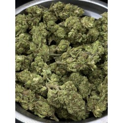 Future #1 Mid Grade | ดอกกัญชาไฮบริด Green House กลิ่นผลไม้เขตร้อน