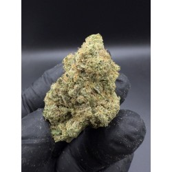 Lemon Haze | กัญชา Top Shelf Sativa - THC 20%