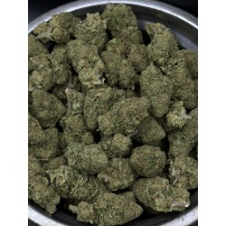Rainbow Runtz Mid Grade | ดอกกัญชาอินดิก้า Green House | ส่งในกรุงเทพ
