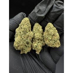 Sweedz Flowers Mid Grade Rainbow Runtz