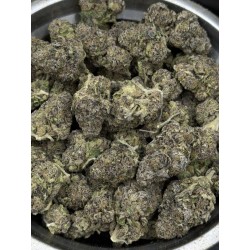 Blue Razz Top Shelf | ดอกกัญชาไฮบริดอินดิก้า 24% THC กลิ่นบลูเบอร์รี่ | ส่งในกรุงเทพ