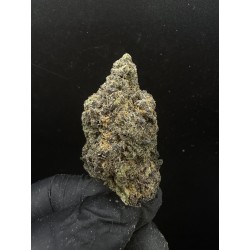 Sweedz Flowers Top Shelf Chocolate Glue