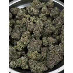 Chocolate Glue Top Shelf | ดอกกัญชาอินดิก้า 25% THC กลิ่นช็อกโกแลต | ส่งในกรุงเทพ