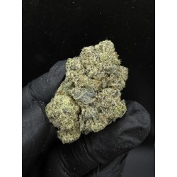 King’s Kush Top Shelf | ดอกกัญชาอินดิก้า 24% THC กลิ่นองุ่นและดีเซล | ส่งในกรุงเทพ