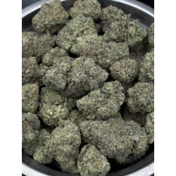 King’s Kush Top Shelf | ดอกกัญชาอินดิก้า 24% THC กลิ่นองุ่นและดีเซล | ส่งในกรุงเทพ
