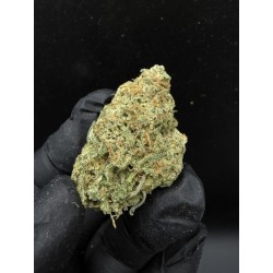 Super Lemon Haze Top Shelf | Sativa 23% THC | Citron & Bonbon | Livraison Bangkok