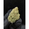 Super Lemon Haze Top Shelf | Sativa 23% THC | Citron & Bonbon | Livraison Bangkok