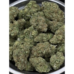 Super Lemon Haze Top Shelf | ดอกกัญชาซาติวา 23% THC กลิ่นเลมอน | ส่งในกรุงเทพ