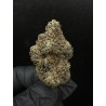 Sweedz Flowers Exotica Apricot Stomper