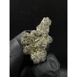 Blackout Cherries Exotica | 27% THC Hybrid Indica | Cherry & Berry | Delivery in Bangkok