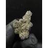 Blackout Cherries Exotica | 27% THC Hybrid Indica | Cherry & Berry | Delivery in Bangkok