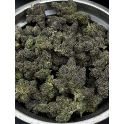 Blackout Cherries Exotica | 27% THC Hybrid Indica | Cherry & Berry | Delivery in Bangkok