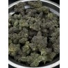 Blackout Cherries Exotica | 27% THC Hybrid Indica | Cherry & Berry | Delivery in Bangkok