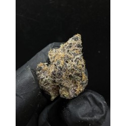 Blockberry Exotica | ดอกกัญชาไฮบริด 28% THC กลิ่นส้มและเชอร์รี่ | ส่งในกรุงเทพ