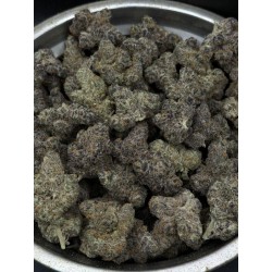 Blockberry Exotica | ดอกกัญชาไฮบริด 28% THC กลิ่นส้มและเชอร์รี่ | ส่งในกรุงเทพ