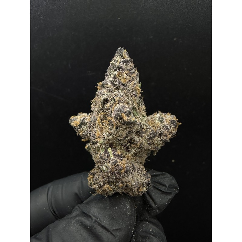 Sweedz Flowers Exotica Blockberry