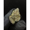 Cream Smoothie Exotica | ดอกกัญชาไฮบริด 30% THC กลิ่นวานิลลาและดีเซล | ส่งในกรุงเทพ