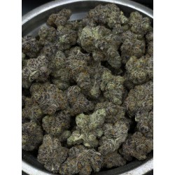 Cream Smoothie Exotica | ดอกกัญชาไฮบริด 30% THC กลิ่นวานิลลาและดีเซล | ส่งในกรุงเทพ