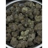 Cream Smoothie Exotica | ดอกกัญชาไฮบริด 30% THC กลิ่นวานิลลาและดีเซล | ส่งในกรุงเทพ